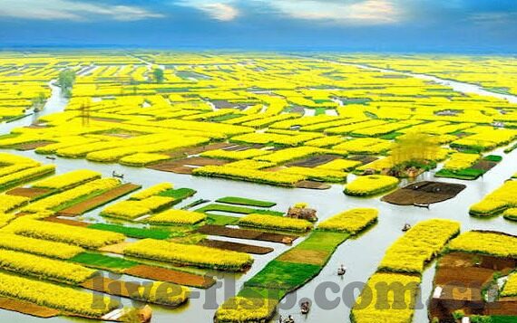 麻豆传媒福利-浅析麻豆传媒福利的多元价值与影响