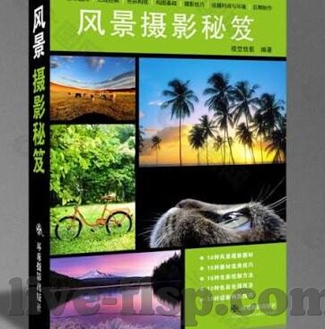 麻豆传媒免费看视频-揭开网络迷雾，麻豆传媒免费观影现象的透视