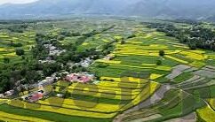 麻豆画精品传媒2021一二三区-麻豆画精品传媒，2021年内容创作的革新与隐秘魅力