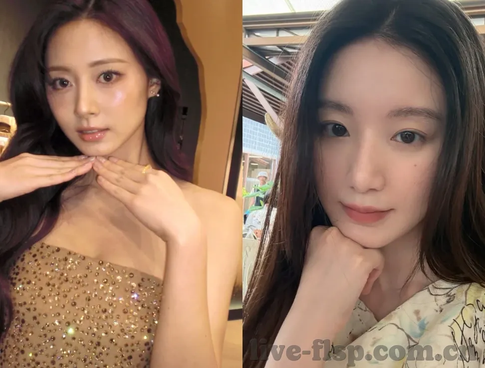 麻豆视频入-麻豆视频，探索网络时代的文化消费新现象